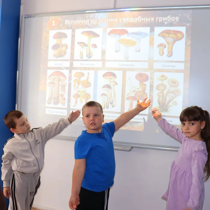 «Грибное лукошко»