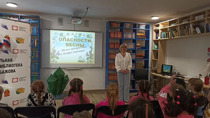 Презентация библиотекаря